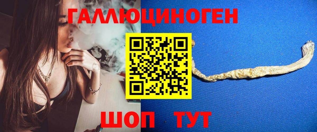 Псилоцибиновые грибы Magic Shrooms  Вход с VPN  Псилоцибиновые грибы Magic Shrooms  Пушкино 