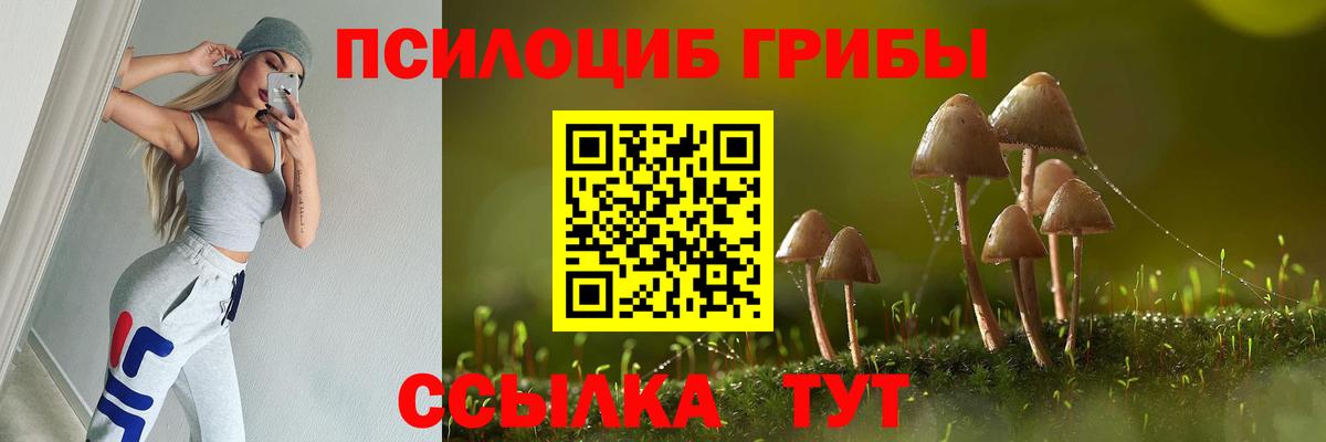 Галлюциногенные грибы GOLDEN TEACHER Пушкино